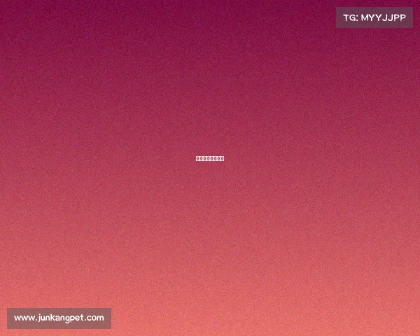 排球比赛活动报道